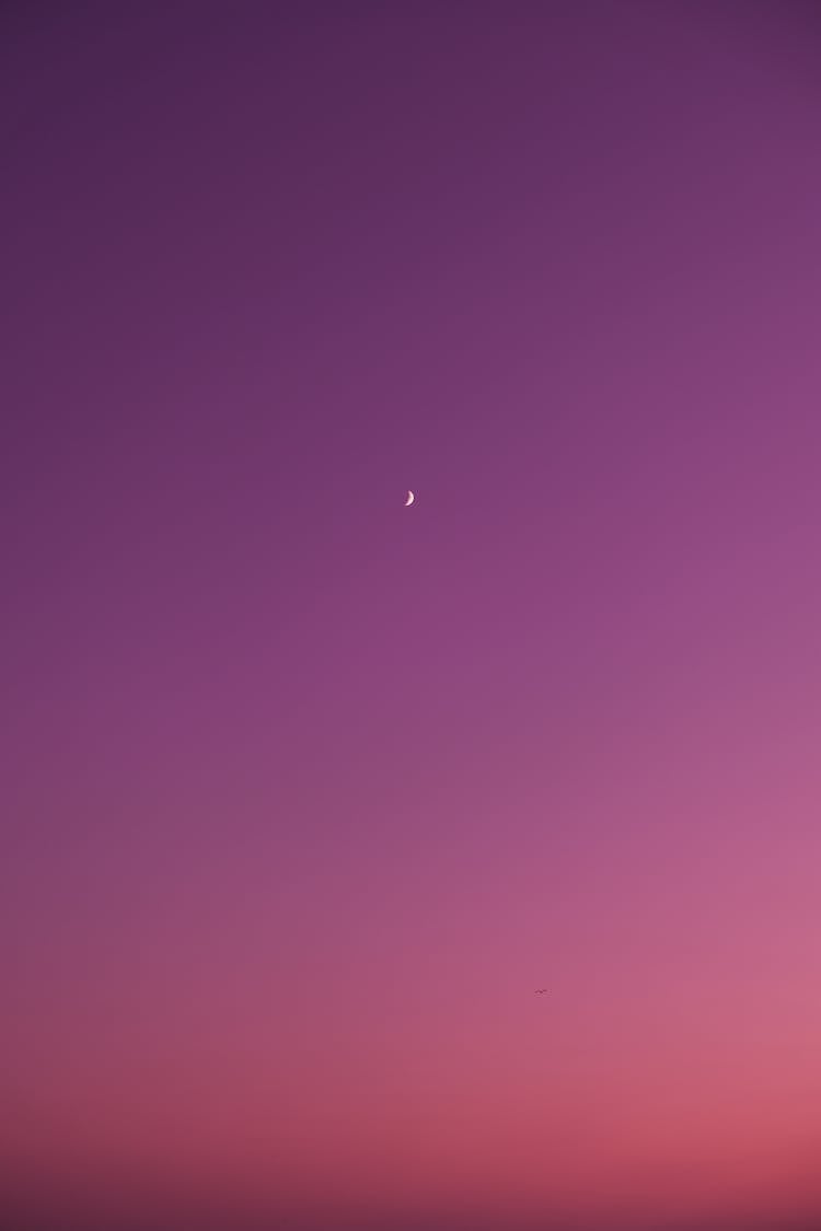 Moon In Pink Night Sky