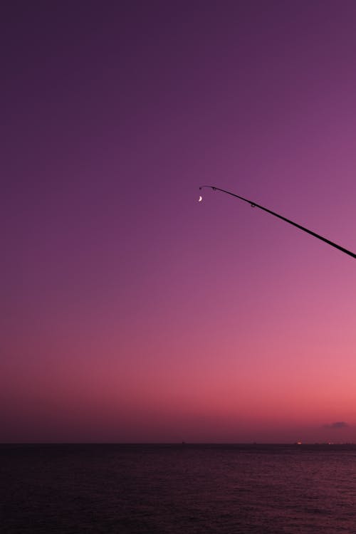 ピンクの空, 垂直ショット, 夕暮れの無料の写真素材
