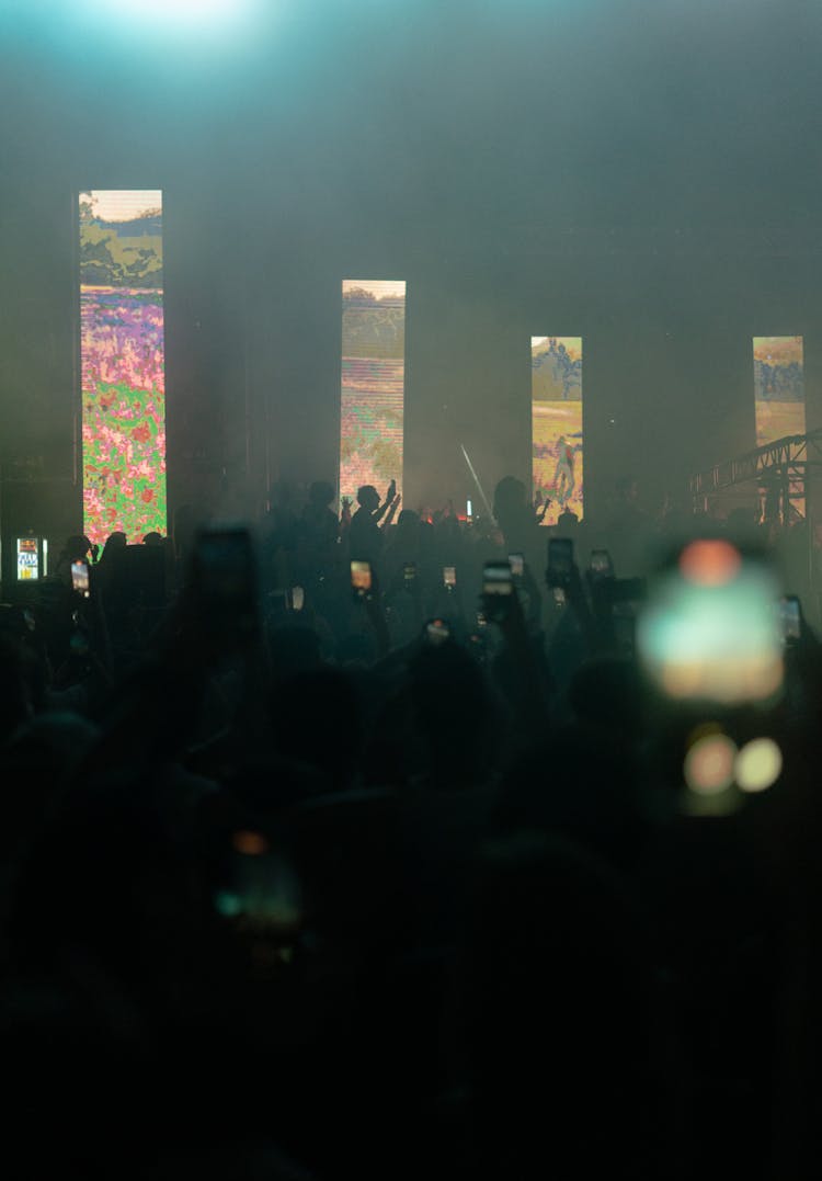 Audience At A Concert In A Club 