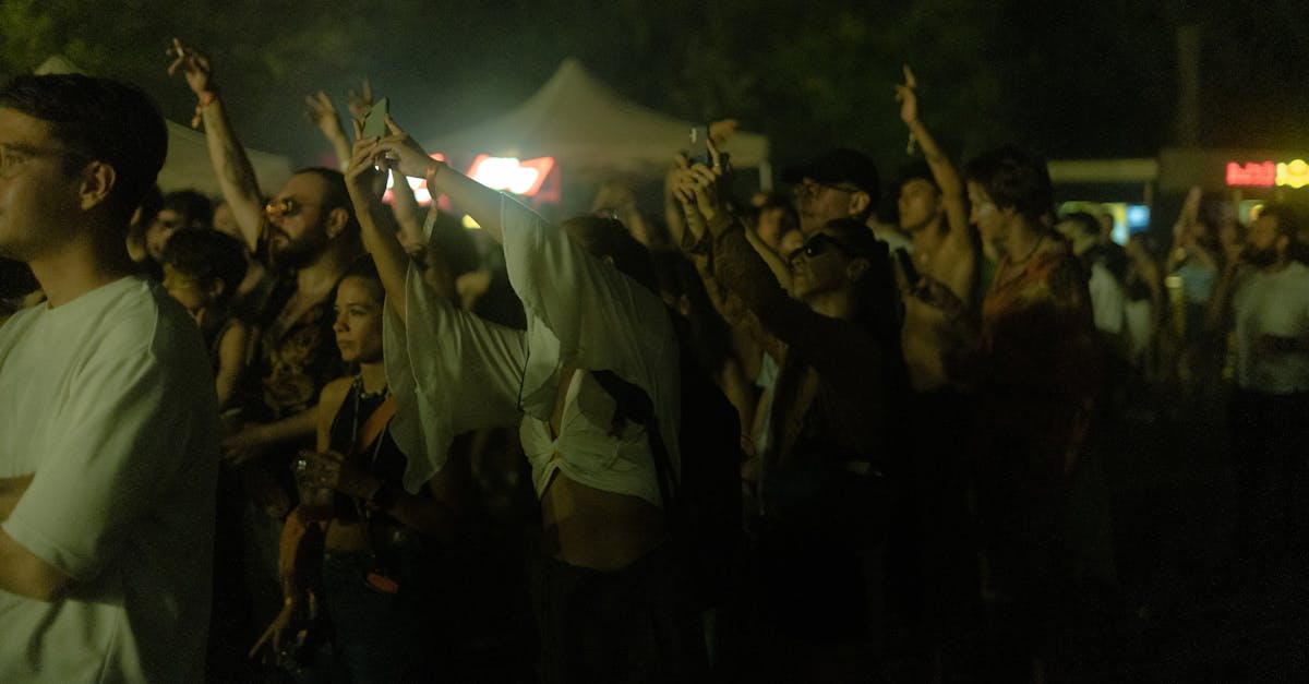 Tour d'Horizon des Meilleurs Festivals de Musique en Ville