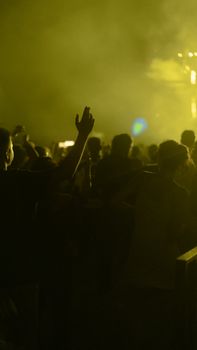Silhouetted crowd enjoying a vibrant concert in İstanbul at night with atmospheric lighting.