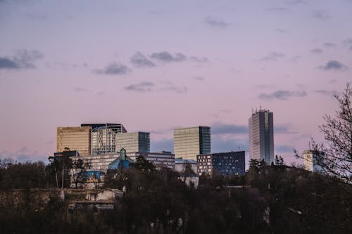 High Rise Buildings against Pink Evening Sky