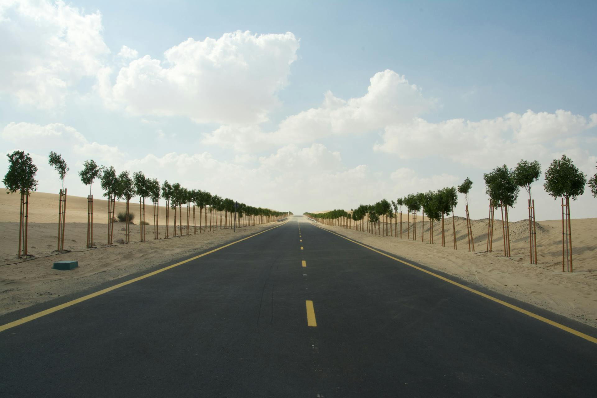 A straight asphalt road through a desert landscape lined with trees, under a partly cloudy sky.