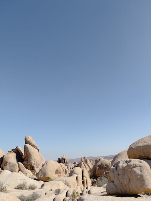 Sunlit Rocks of Joshua Tree National Park