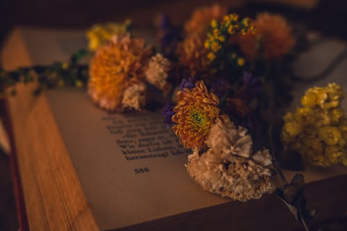 Ilmainen kuvapankkikuva tunnisteilla kirja, kukat, lähikuva