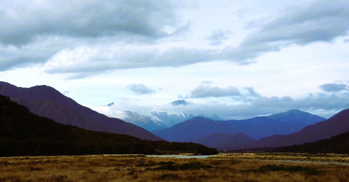 New Zealand - What $3,500 a Month Gets You in Wellington — A Local's Perspective