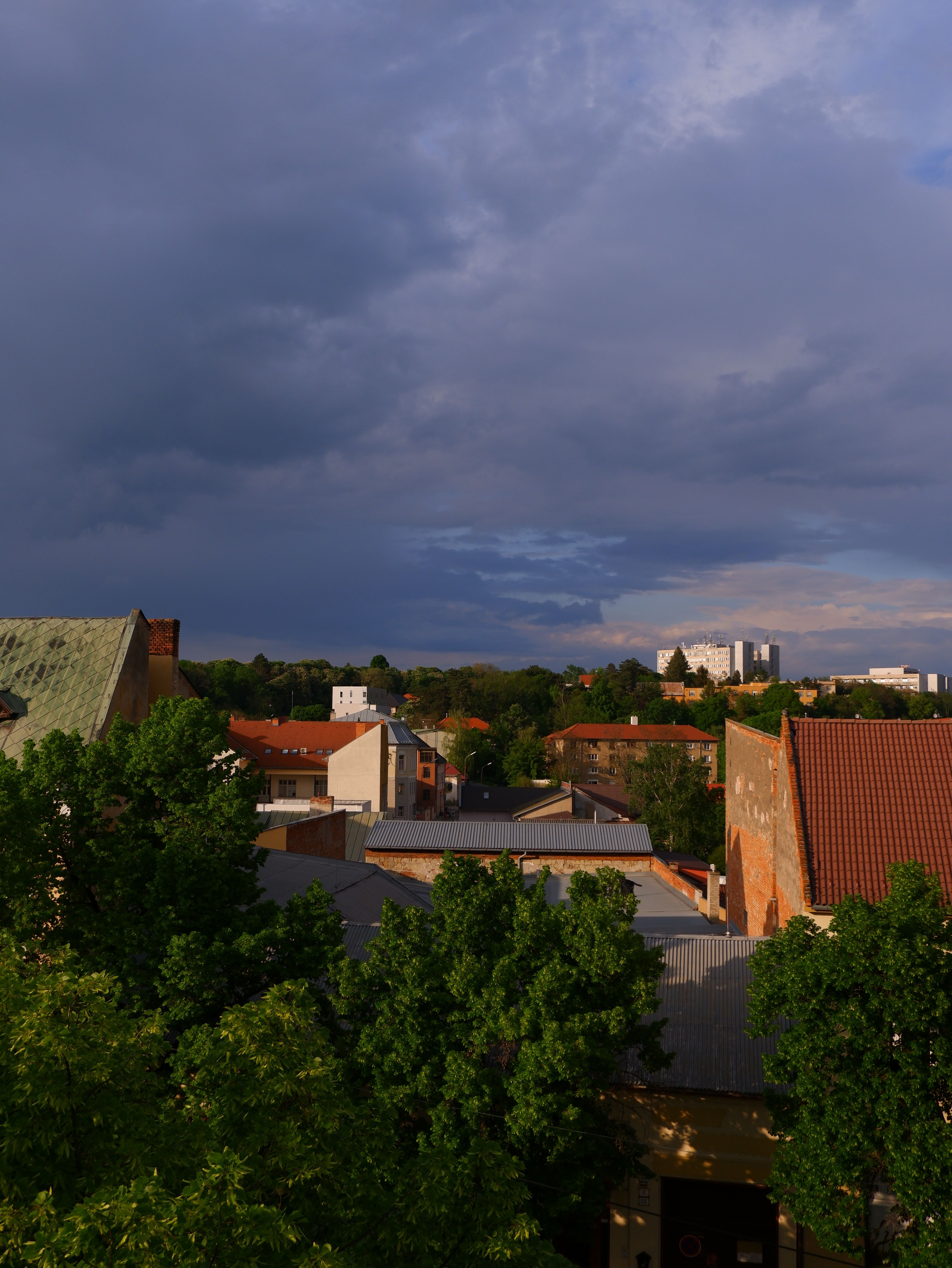 Clear sky and green trees above a row of suburban rooftops