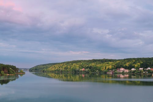 Fotobanka s bezplatnými fotkami na tému krajina, les, rieka