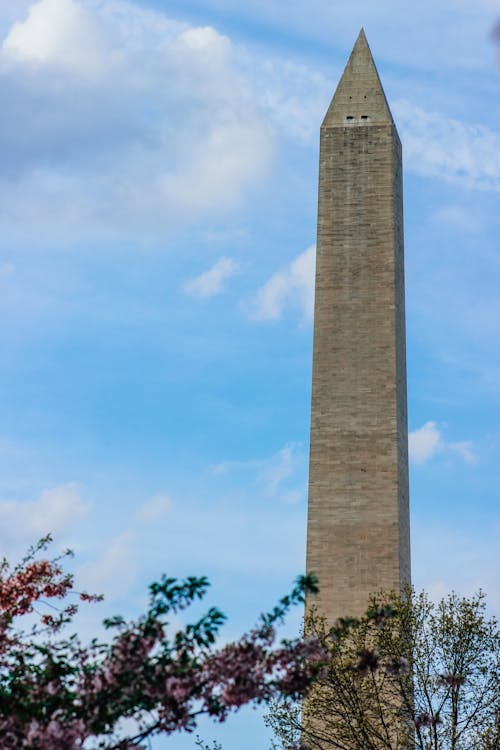 grátis Foto profissional grátis de céu azul, Monumento a Washington, obelisco Foto profissional