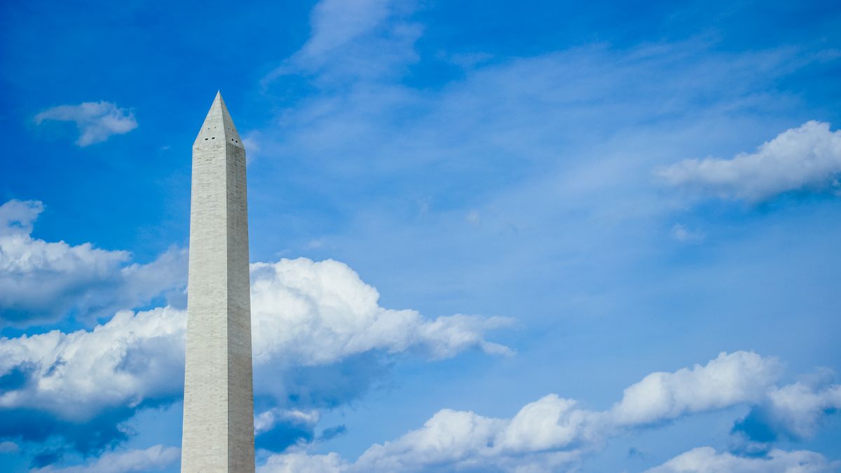 Pet Product Giveaways in Washington, DC: Updated 2026 List for Local Winners