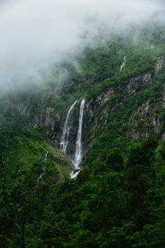 A tall waterfall cascades down a rocky cliff amidst a dense green forest shrouded in mist.