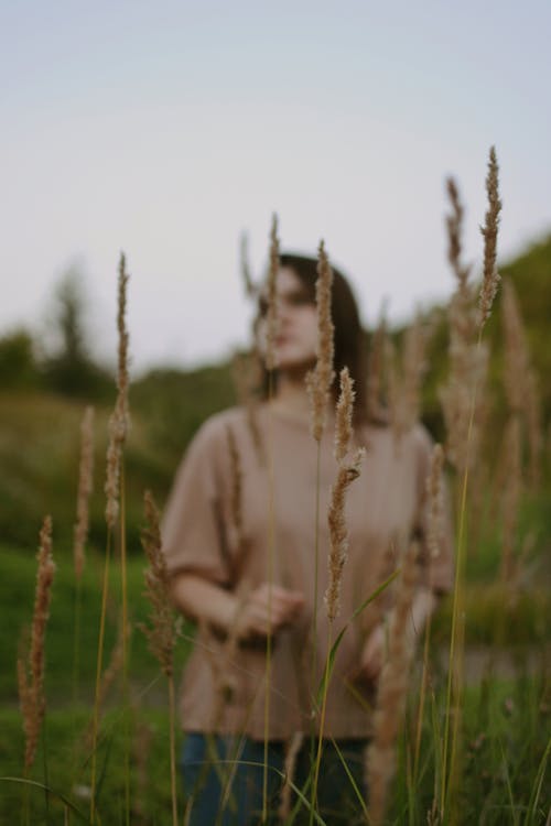 Close-up of Grass Flowers and a Woman Standing in the Meadow 