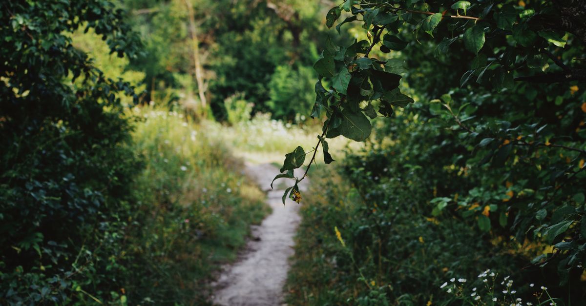 Pourquoi vous résistez à avancer (même en souffrant)