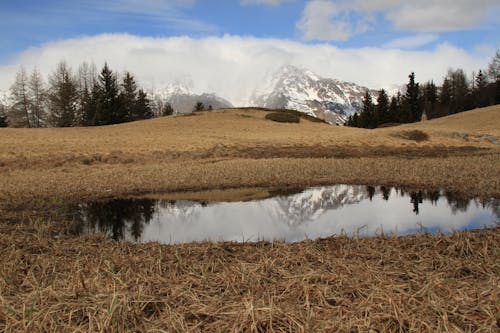 Kostenloses Stock Foto zu bäume, berge, blauer himmel