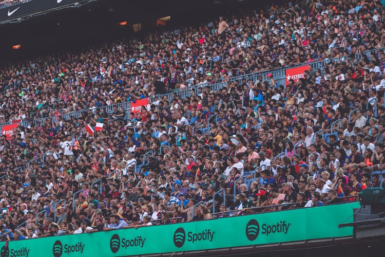 Cheering Crowd In Stadium