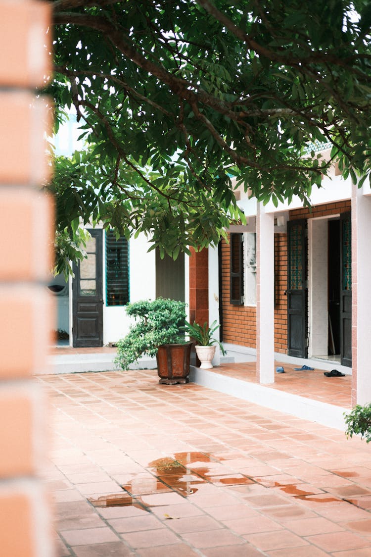 Outdoor Patio Of A House With Vigan Tile Flooring