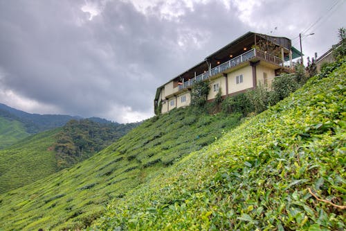 Casa Pintada De Beige Y Campo De Hierba Verde