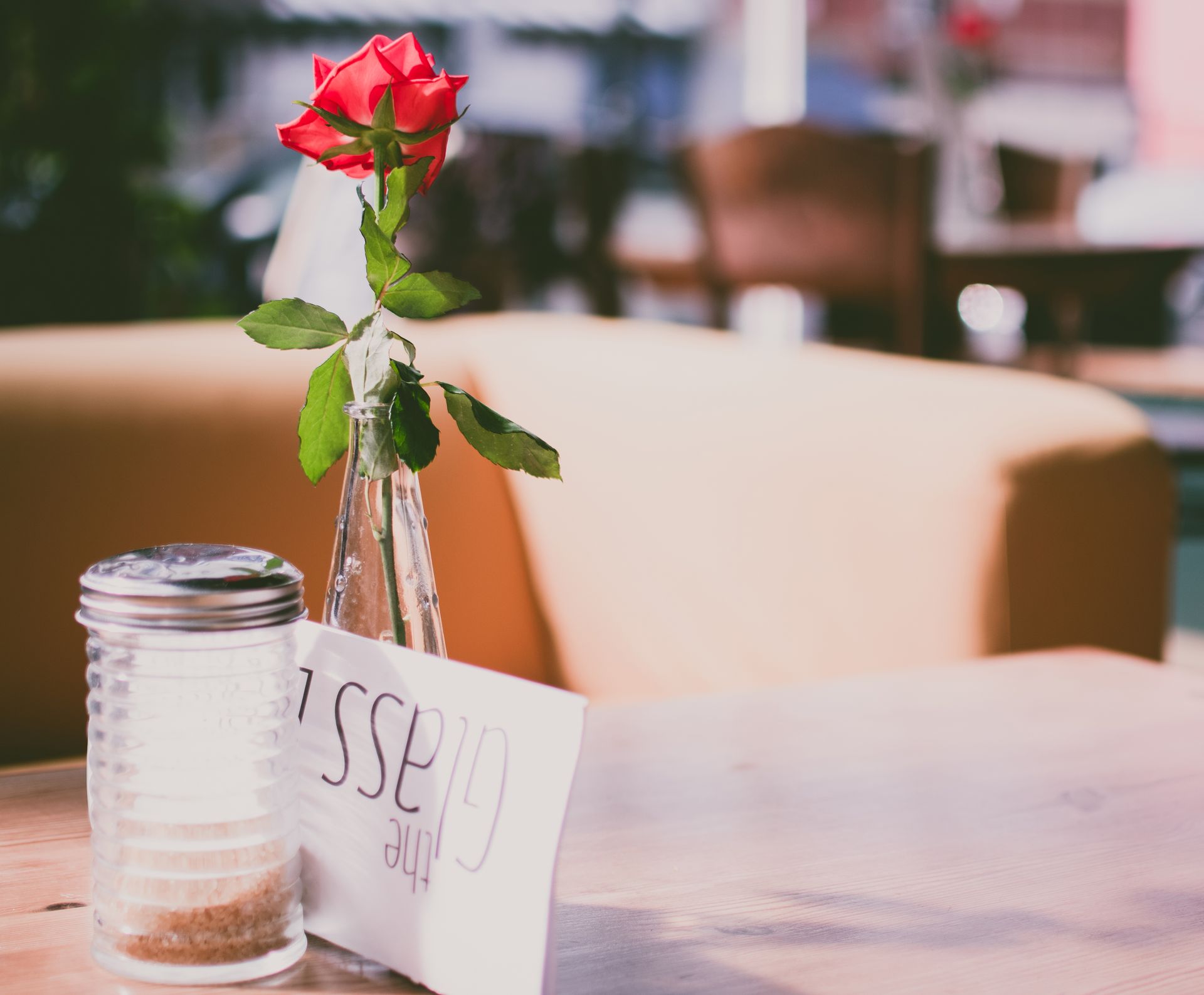 A vibrant red rose in a vase on a café table with soft lighting and decor.
