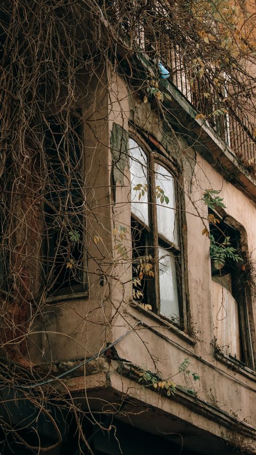 Free An old abandoned house covered in vines, showcasing urban decay in İstanbul, Turkey. Stock Photo