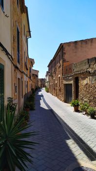 Quiet and sunlit narrow street with rustic buildings and lush plants.