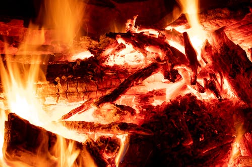 Free Burning Wood on a Fire Pit Stock Photo
