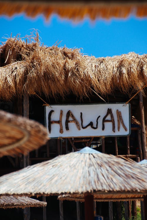 Foto profissional grátis de cabana do nipa, cobertura, Havaí