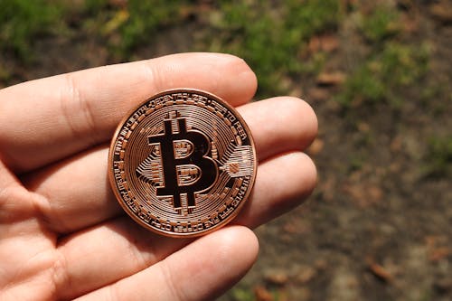 Free Close-Up Shot of a Person Holding a Bitcoin Stock Photo