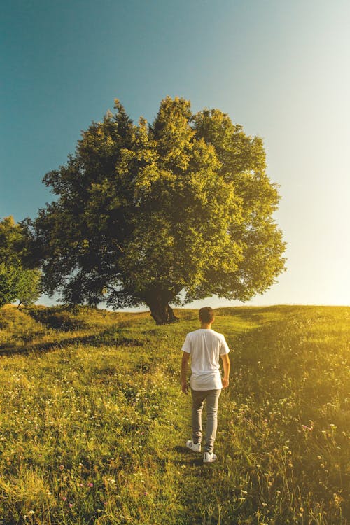 Man in White T-shirt and Gray Denim Jeans Outfit on Green Grass Field