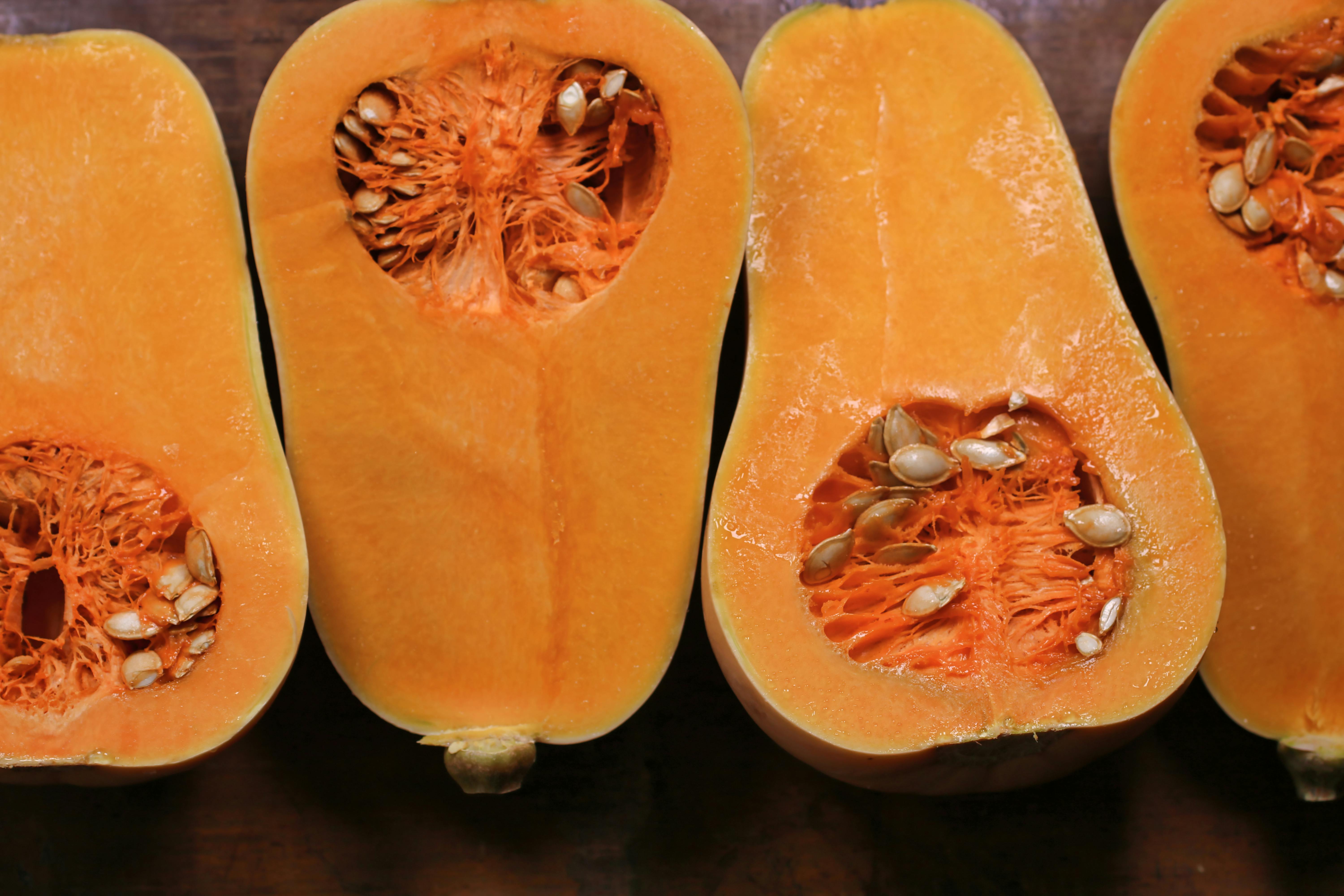 Free stock photo of brown, butternut, butternut squash