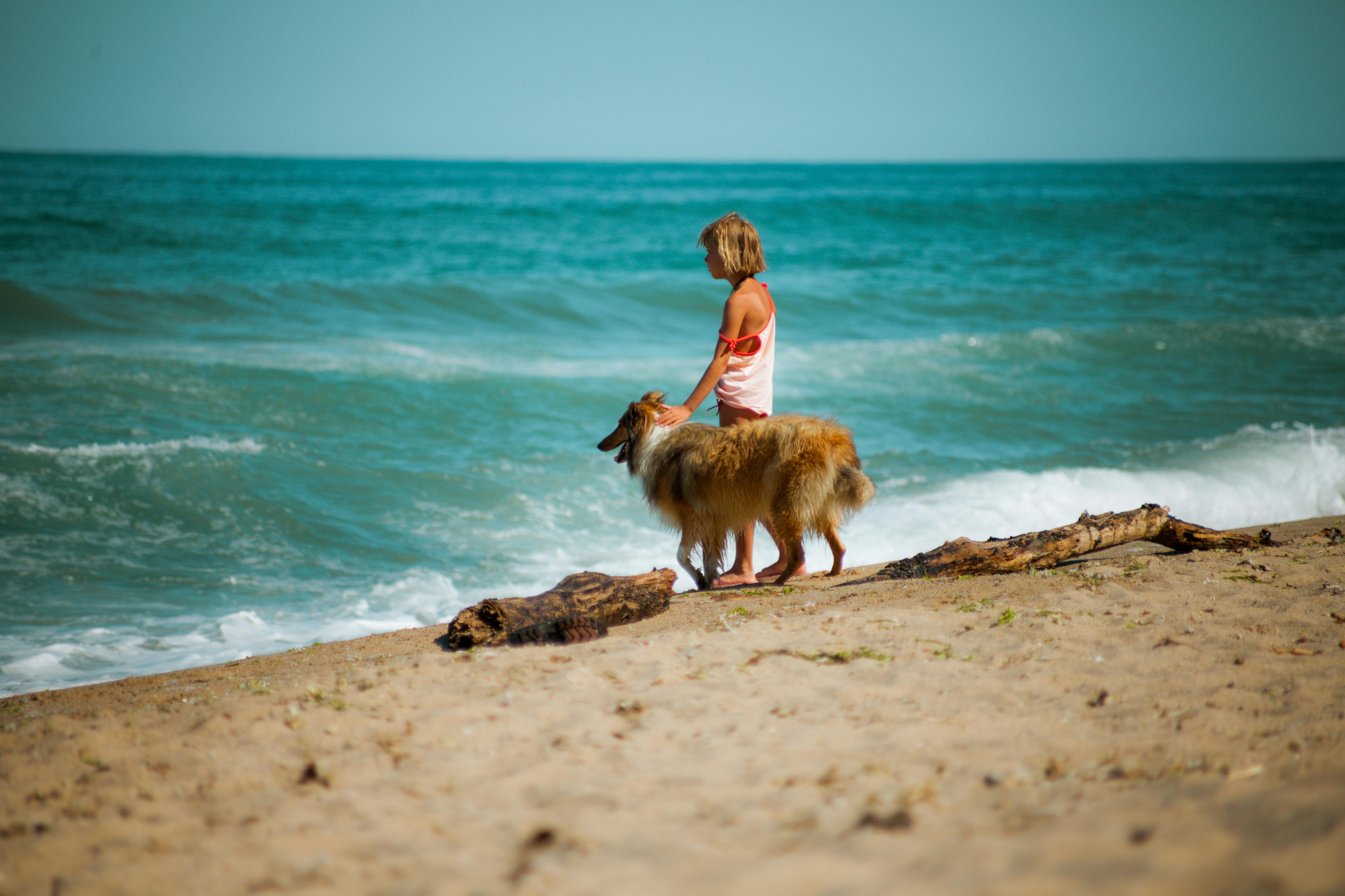 a girl with her dog on the beach