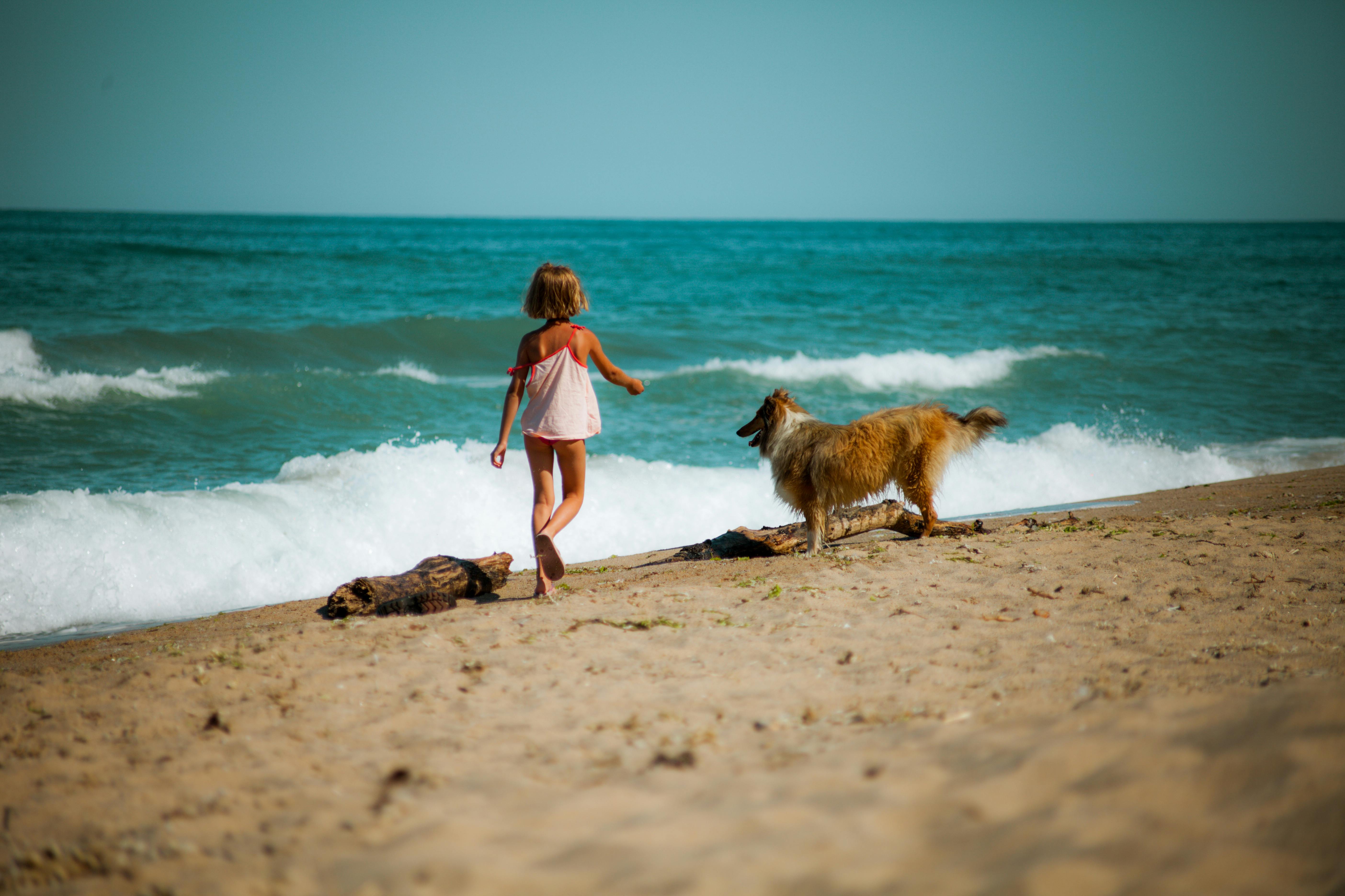 photo of a girl and a dog at the beach