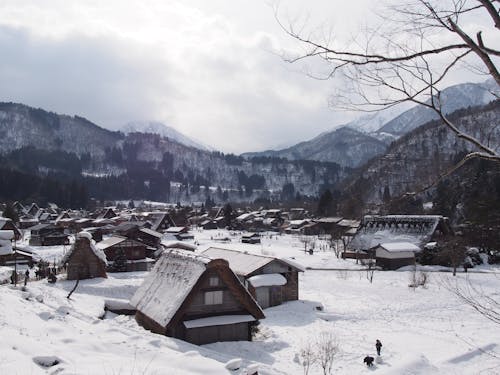 Foto profissional grátis de aldeia de montanha, árvores, cadeia de montanhas