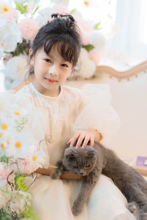 Gratis lagerfoto af Asiatisk pige, barn, british shorthair