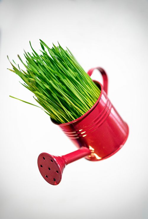Free Imponderable life Stock Photo