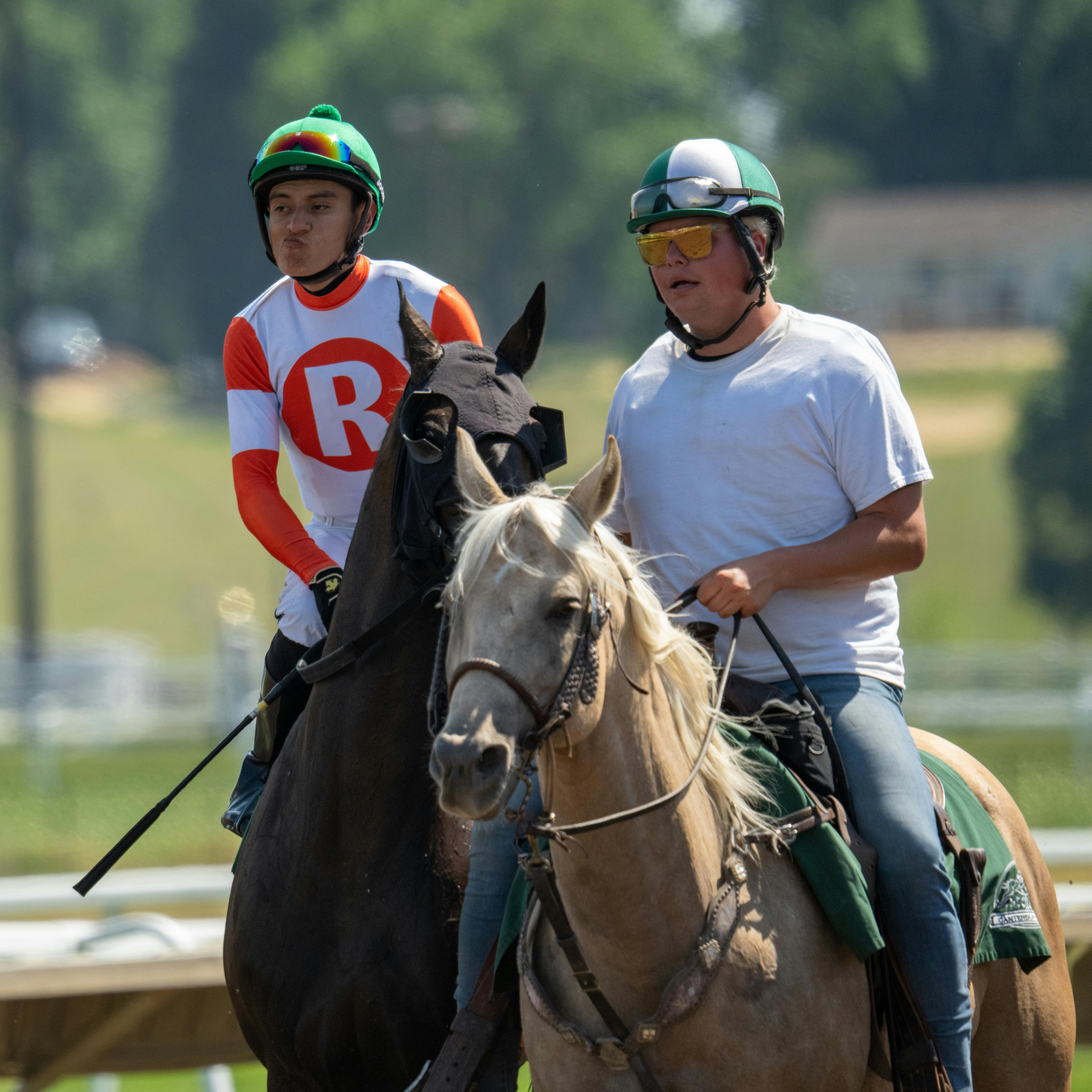 Página 27  Cavalo De Corrida Velocidade Imagens – Download Grátis