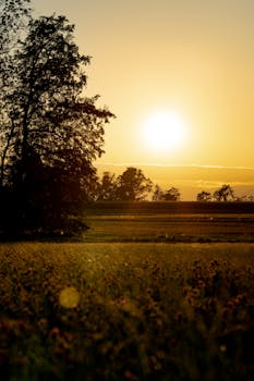 Breathtaking sunset over a rural landscape in Lausanne, Switzerland, capturing the serene beauty of nature.
