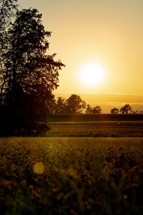 Free Breathtaking sunset over a rural landscape in Lausanne, Switzerland, capturing the serene beauty of nature. Stock Photo
