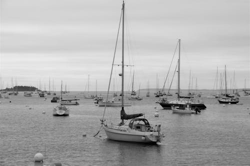 Foto d'estoc gratuïta de aigua, barques, blanc i negre