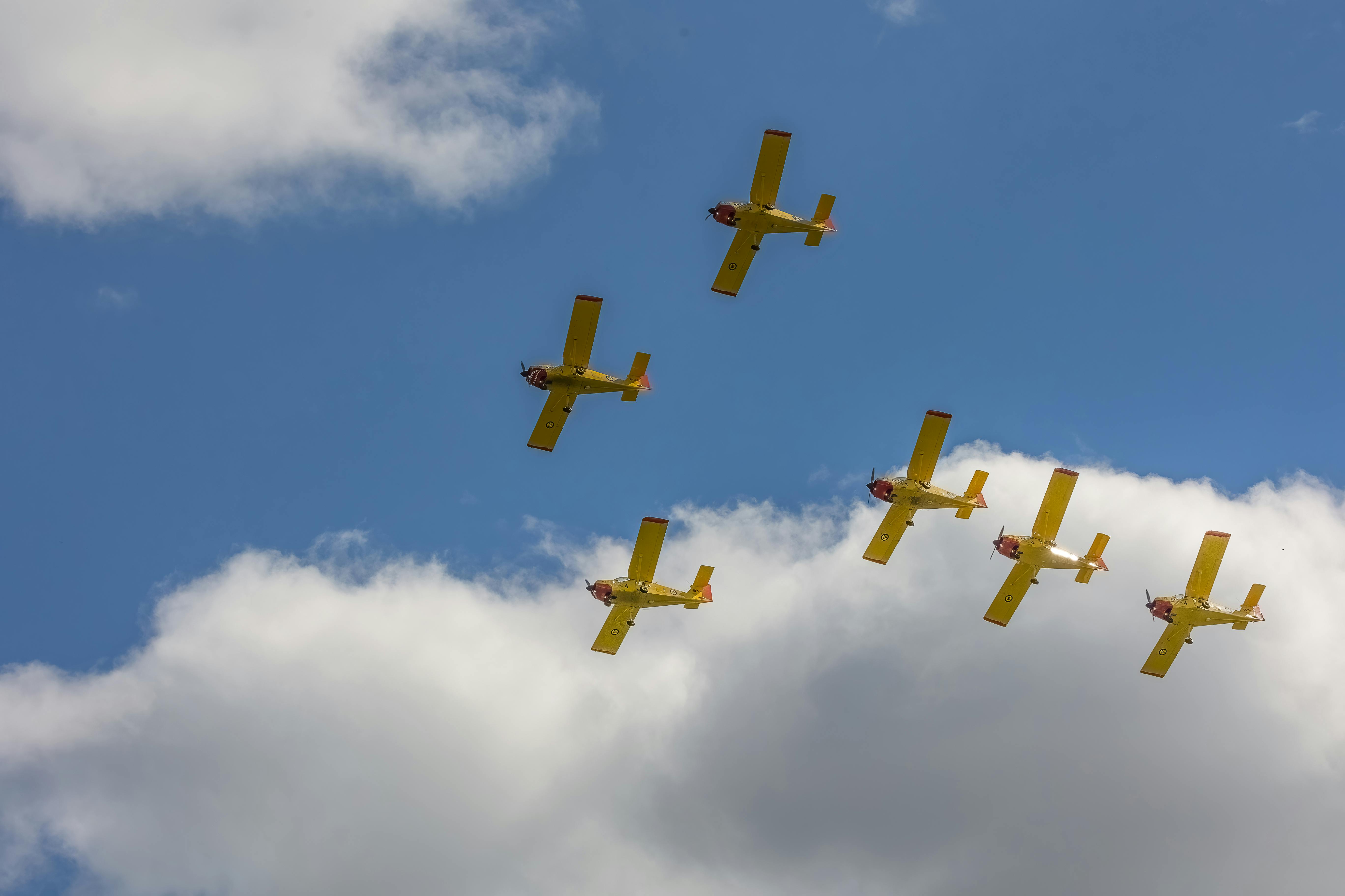 Yellow aircraft performing a synchronized airshow against a clear blue sky.