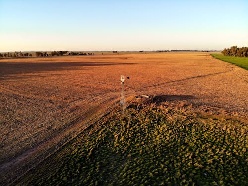 Foto d'estoc gratuïta de agricultura, camp, capvespre