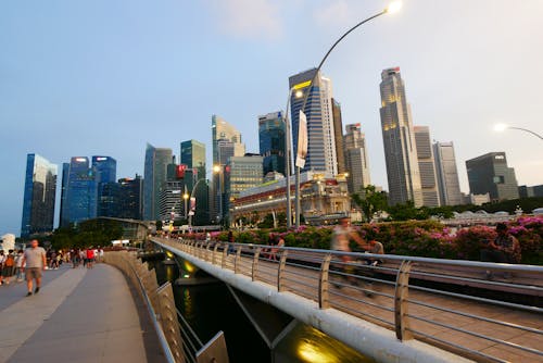 A Bridge over the River Near the Buildings