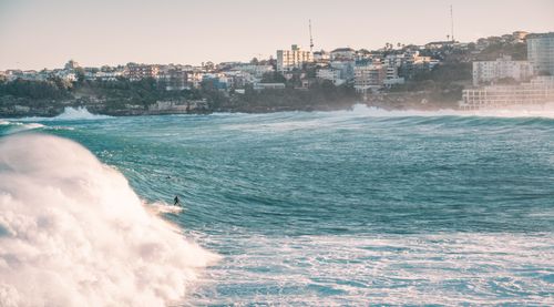 Free Experience the thrill of surfing impressive waves at Bondi Beach, NSW, Australia. Stock Photo