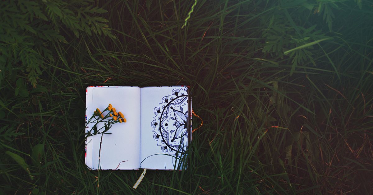 Coloriage Mandala : 100 Modèles Gratuits