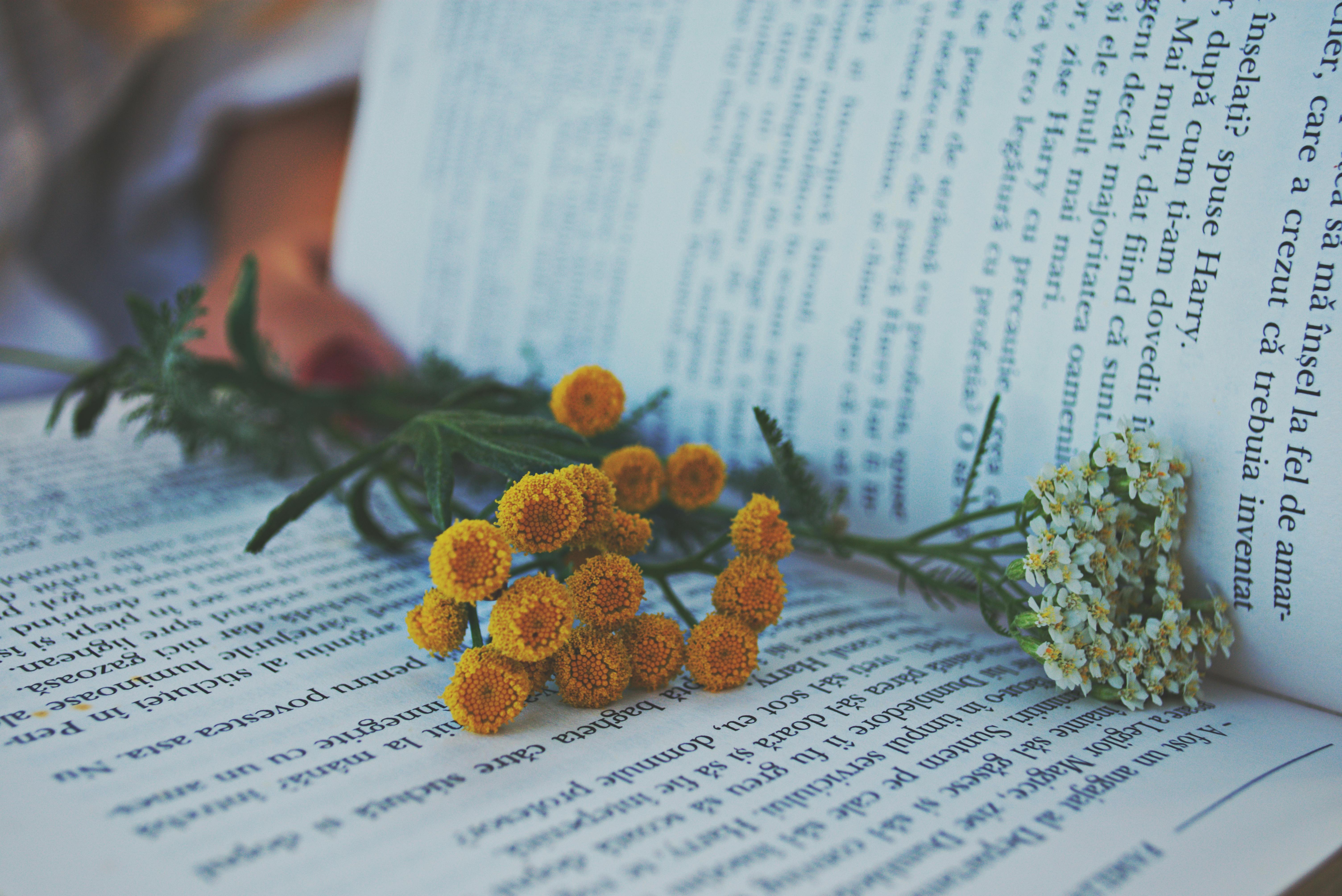 Flowers On Book · Free Stock Photo