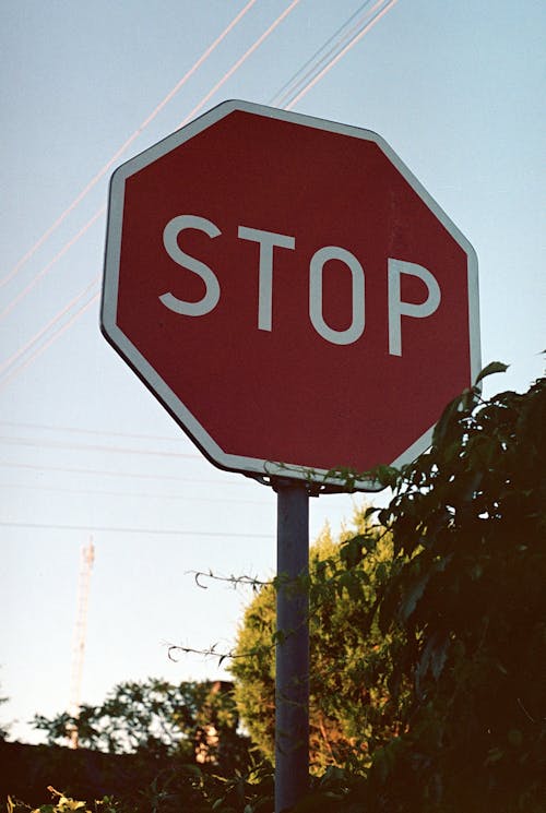 Бесплатное стоковое фото с вертикальный выстрел, дорожный указатель, знак стоп
