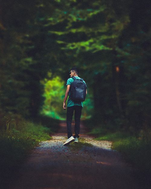 Free Trek Stock Photo
