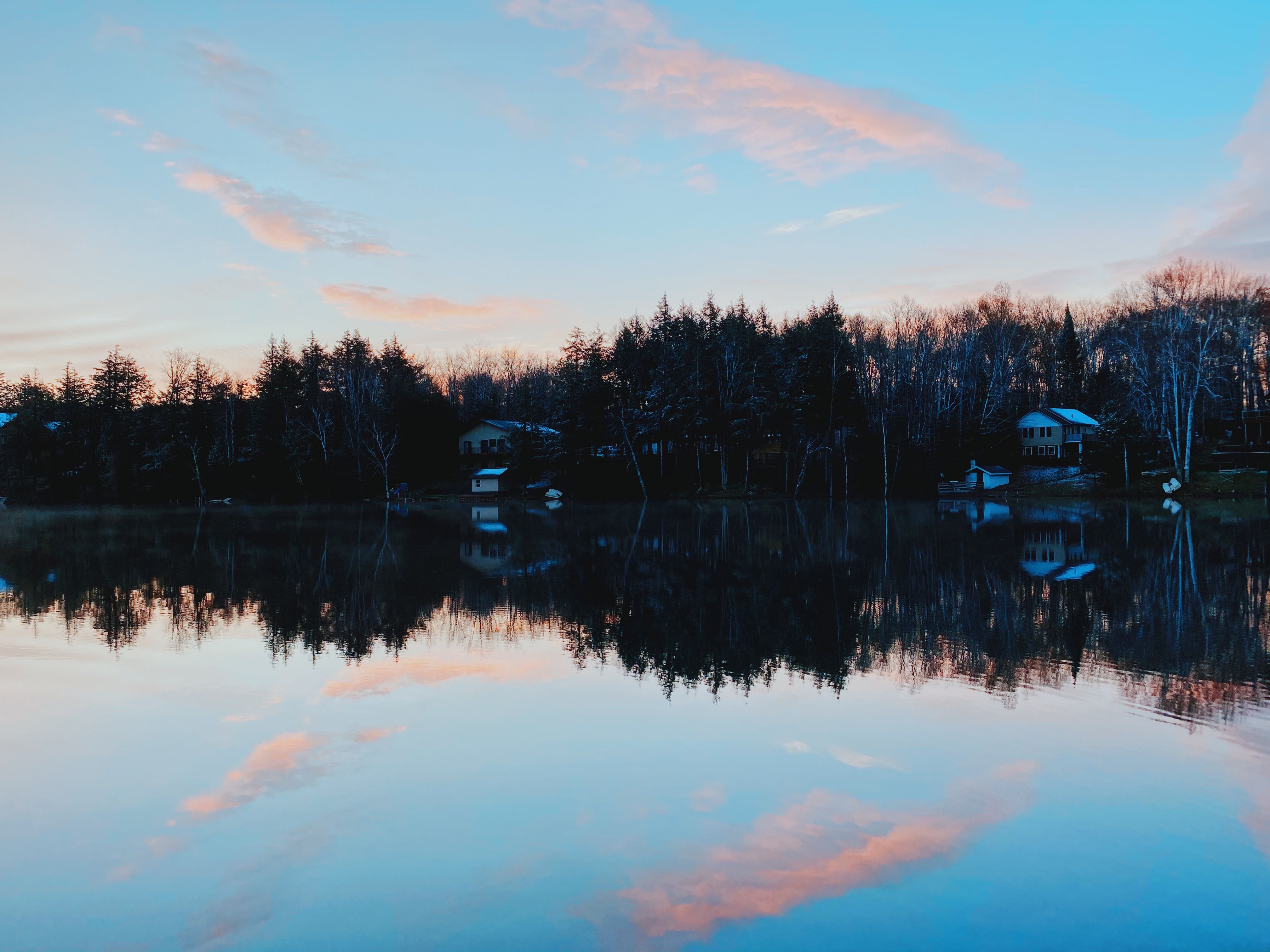 Silhouette of Trees near the Lake · Free Stock Photo