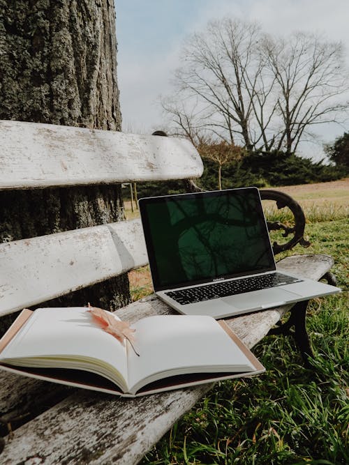 Δωρεάν στοκ φωτογραφιών με laptop, βιβλίο, δέντρο