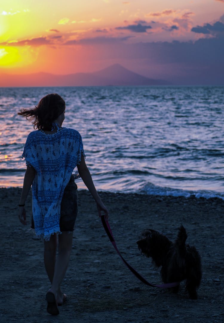 Back View Of A Woman Walking On The Beach With Her Dog During Sunset