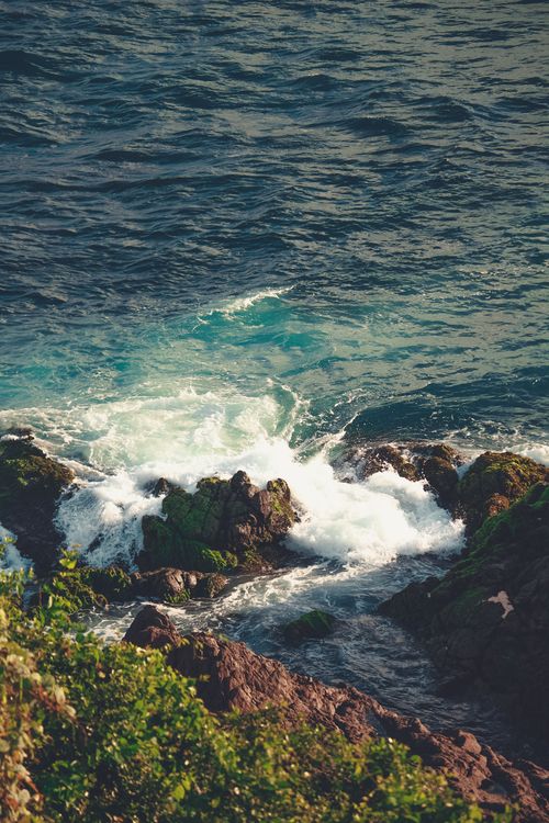 Free Dynamic ocean waves crashing against a rocky shore creating white foamy surf, surrounded by lush greenery. Stock Photo